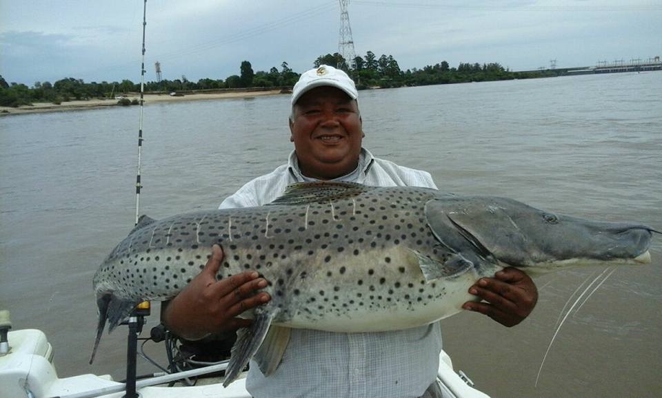 Pousada Bambys Lodge Los Origines / Rio Uruguai - Image 19